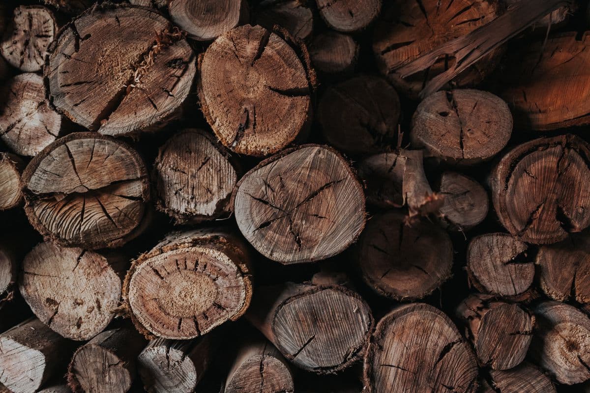 Close view of dark wood
