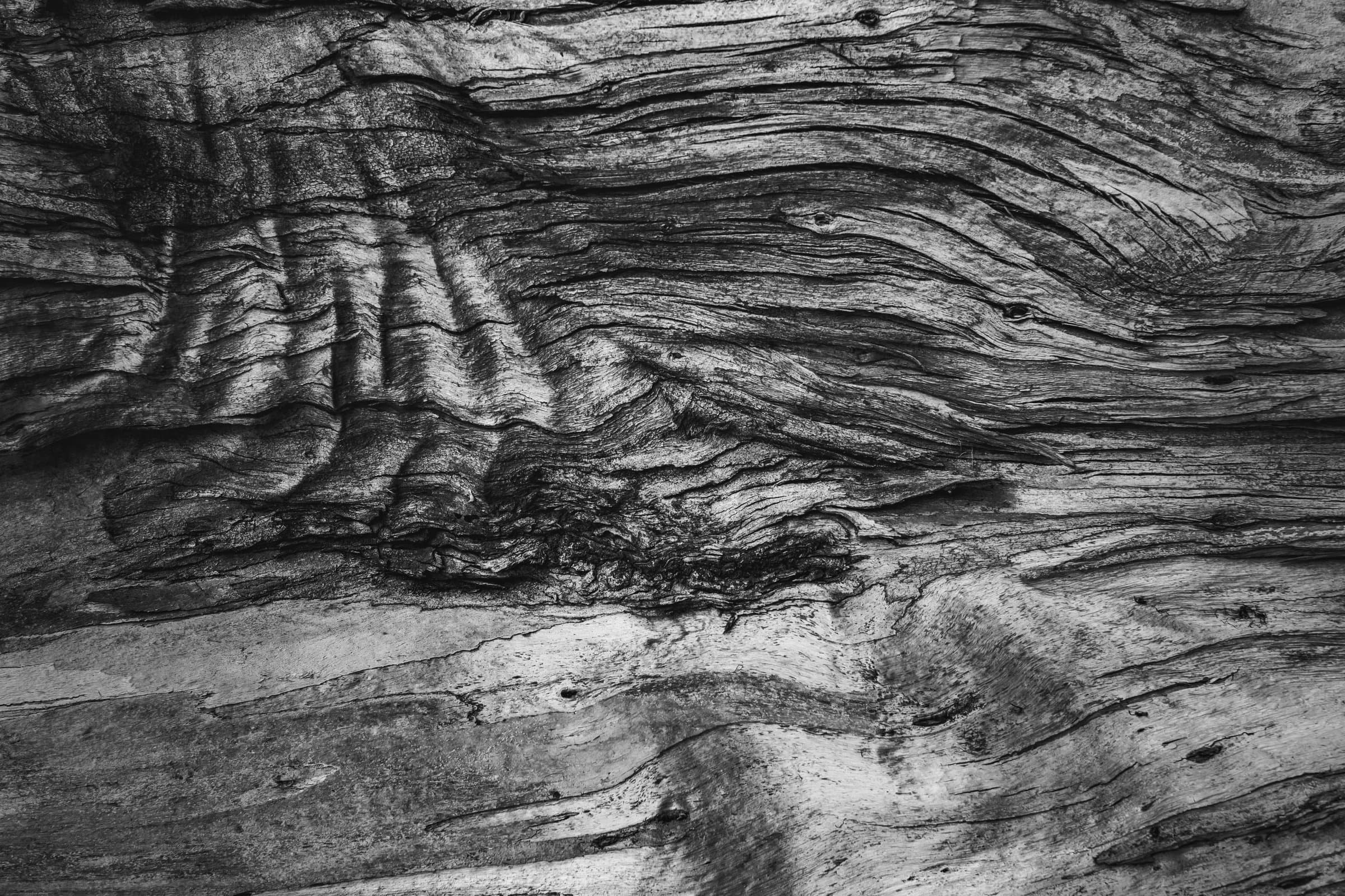 Dark wood grain in black and white